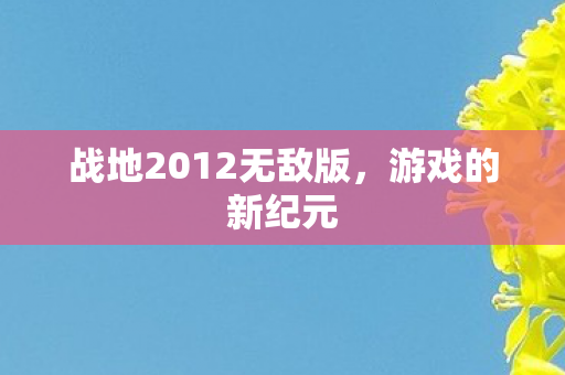 战地2012无敌版图片