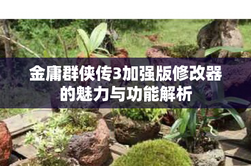 金庸群侠传3加强版修改器的魅力与功能解析图片