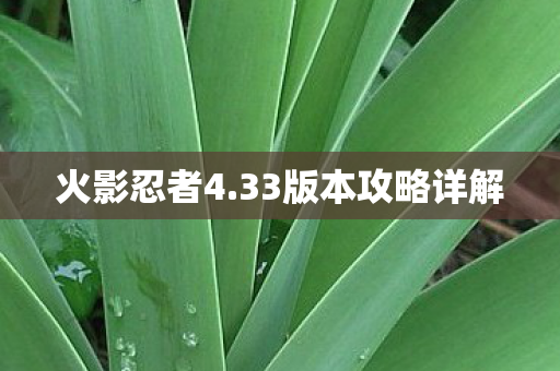 33版本攻略详解图片
