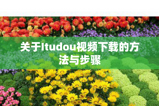 关于Itudou视频下载的方法与步骤图片