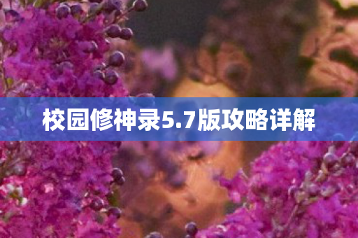 校园修神录5图片