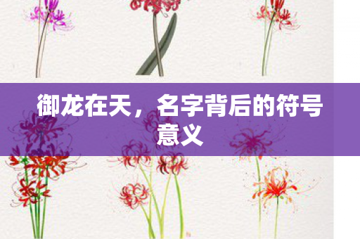 名字背后的符号意义图片