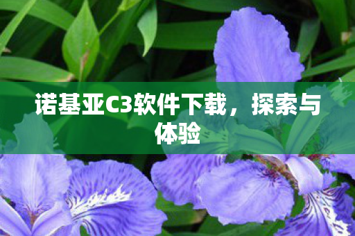 诺基亚C3软件下载图片