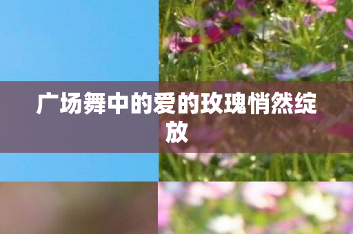 广场舞中的爱的玫瑰悄然绽放图片