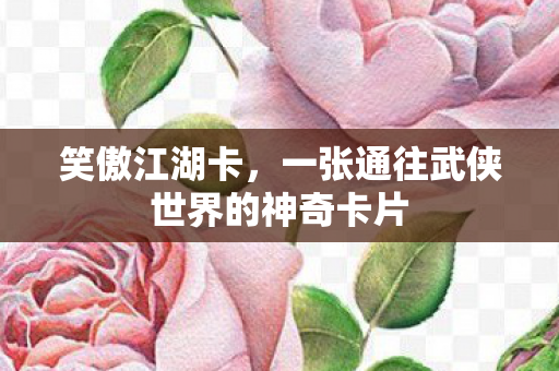 一张通往武侠世界的神奇卡片图片