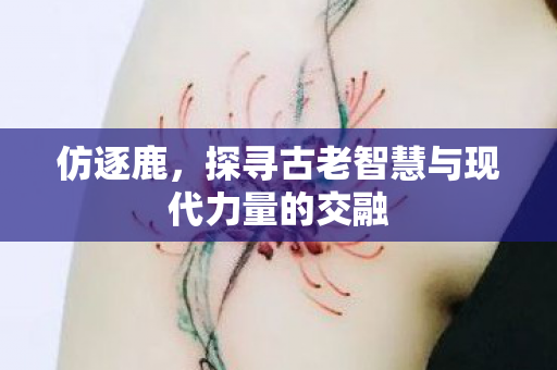 探寻古老智慧与现代力量的交融图片
