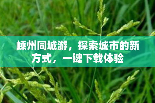 探索城市的新方式图片