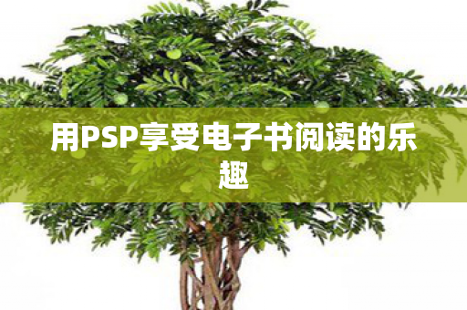 用PSP享受电子书阅读的乐趣图片