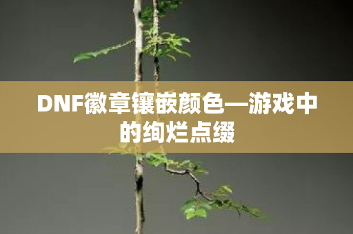 DNF徽章镶嵌颜色图片
