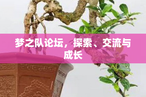 梦之队论坛图片