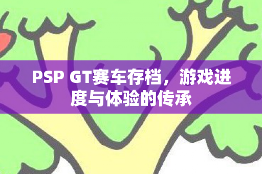 PSP GT赛车存档图片