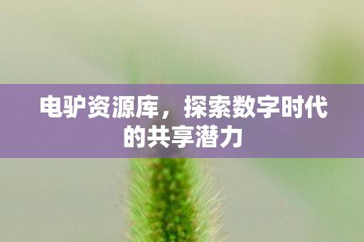 探索数字时代的共享潜力图片