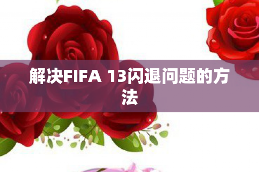 解决FIFA 13闪退问题的方法图片