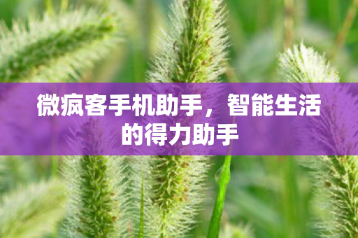 智能生活的得力助手图片