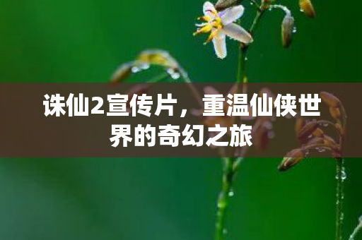 重温仙侠世界的奇幻之旅图片