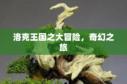 洛克王国之大冒险图片