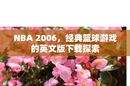 经典篮球游戏的英文版下载探索图片