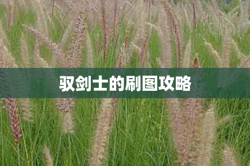 驭剑士的刷图攻略图片