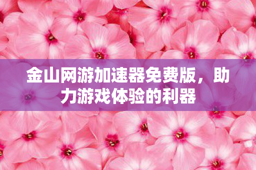 金山网游加速器免费版图片