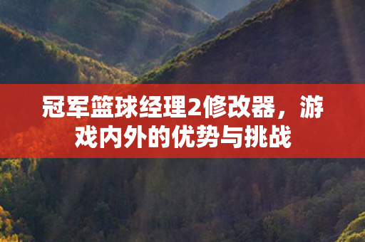 冠军篮球经理2修改器图片