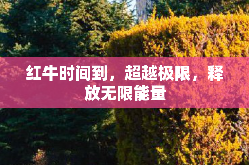 释放无限能量图片