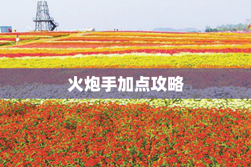 火炮手加点攻略图片