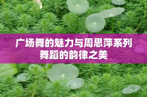 广场舞的魅力与周思萍系列舞蹈的韵律之美图片