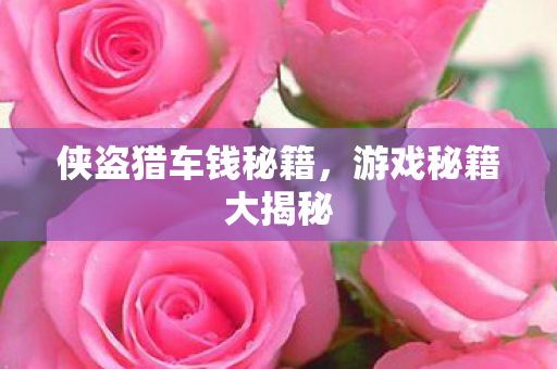 侠盗猎车钱秘籍图片