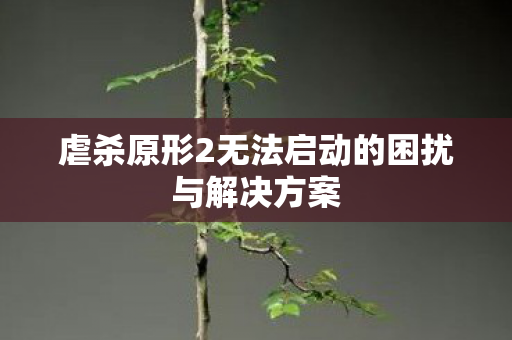 虐杀原形2无法启动的困扰与解决方案图片