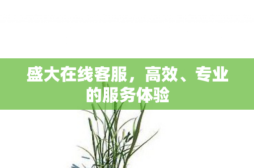 专业的服务体验图片