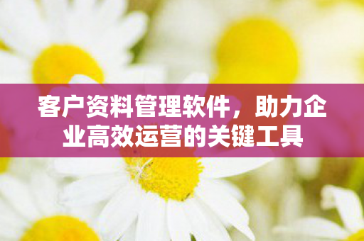 助力企业高效运营的关键工具图片