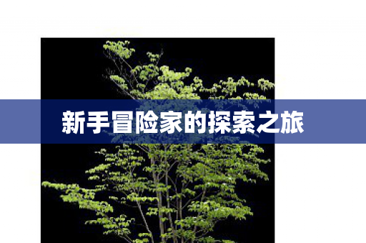 新手冒险家的探索之旅图片