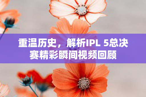 解析IPL 5总决赛精彩瞬间视频回顾图片