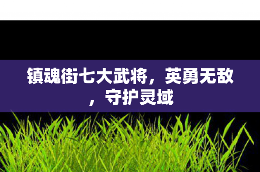 镇魂街七大武将图片