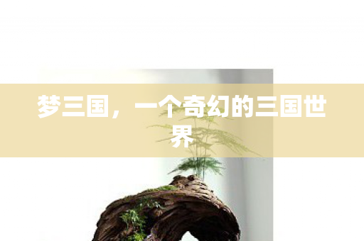 一个奇幻的三国世界图片