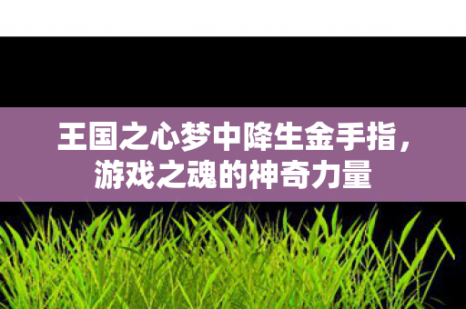 王国之心梦中降生金手指图片