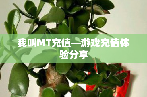 游戏充值体验分享图片