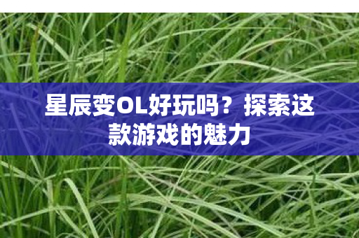 探索这款游戏的魅力图片