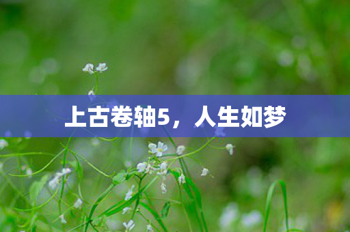 上古卷轴5图片