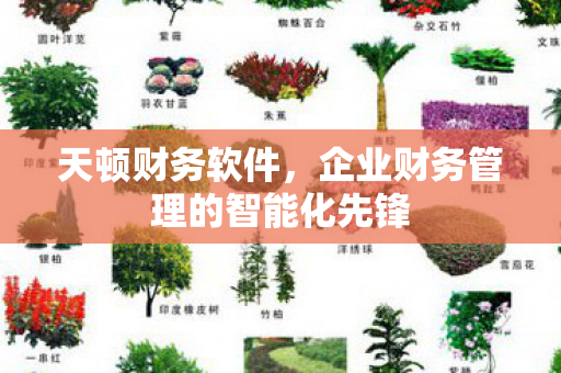 企业财务管理的智能化先锋图片