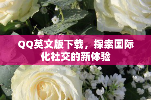 探索国际化社交的新体验图片