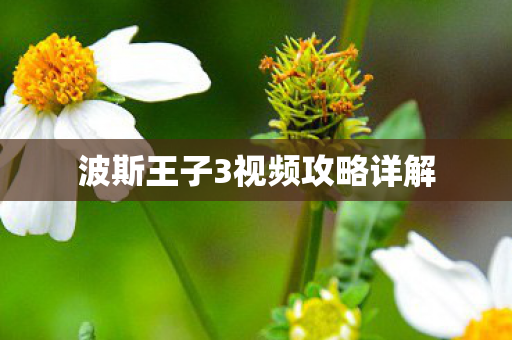 波斯王子3视频攻略详解图片