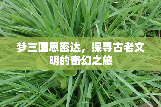 探寻古老文明的奇幻之旅图片