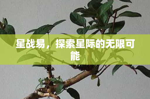 探索星际的无限可能图片