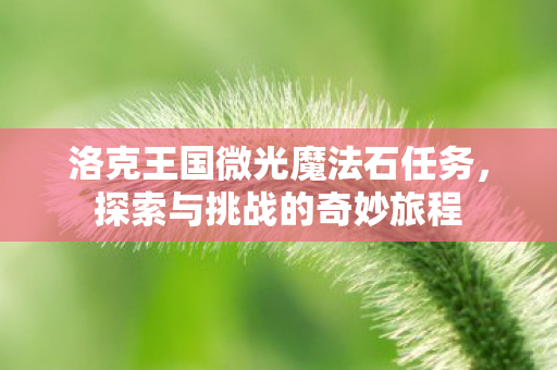 洛克王国微光魔法石任务图片
