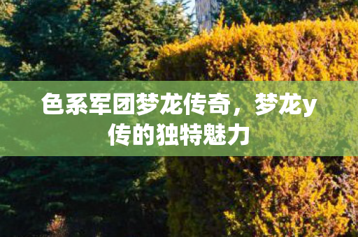 梦龙y传的独特魅力图片