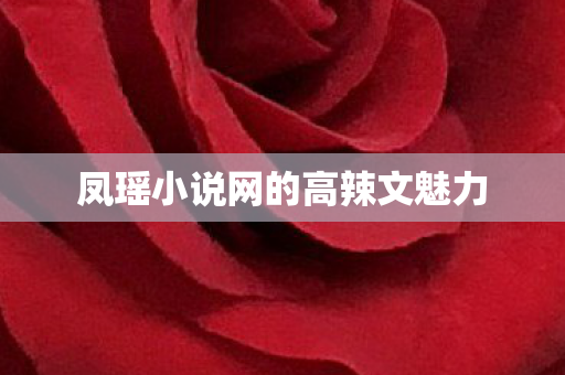 凤瑶小说网的高辣文魅力图片
