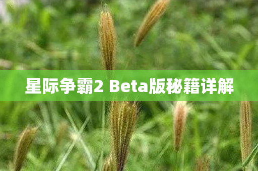 星际争霸2 Beta版秘籍详解图片