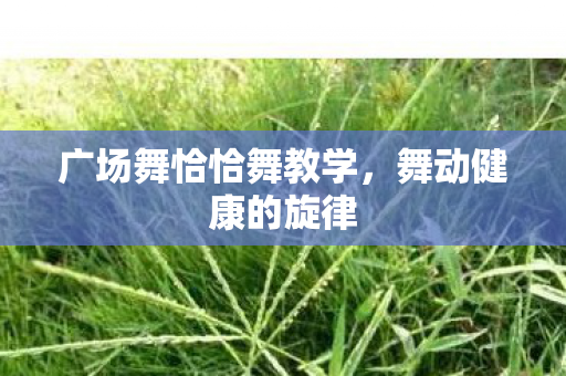 广场舞恰恰舞教学图片