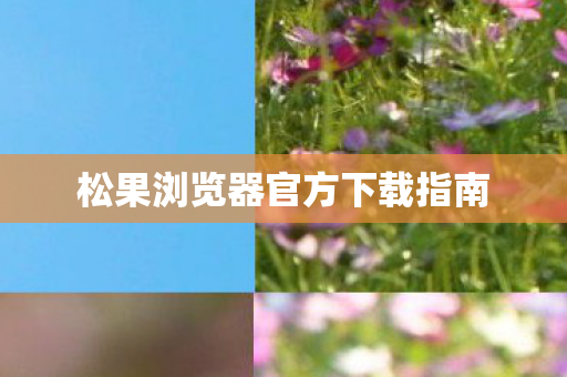 松果浏览器官方下载指南图片